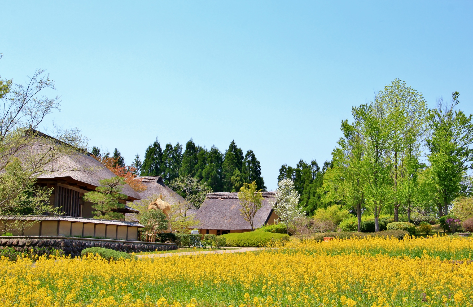 inaka-akiya