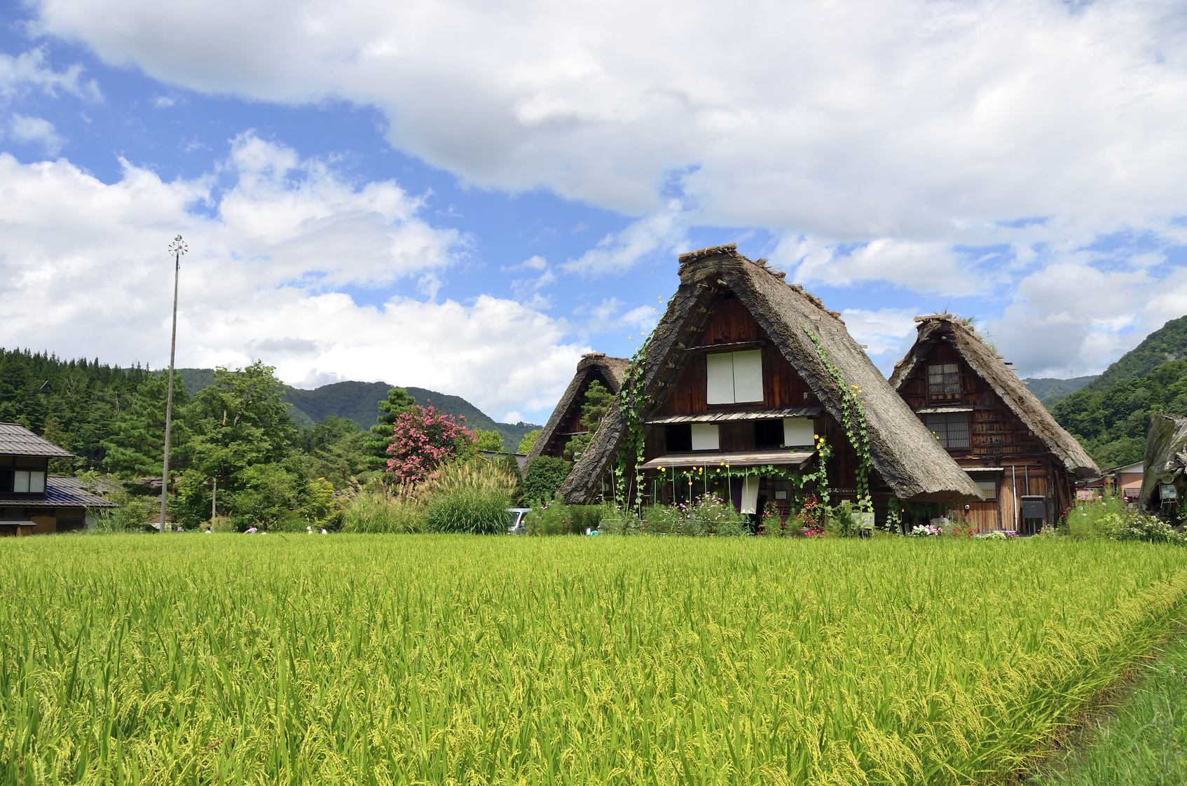 inaka