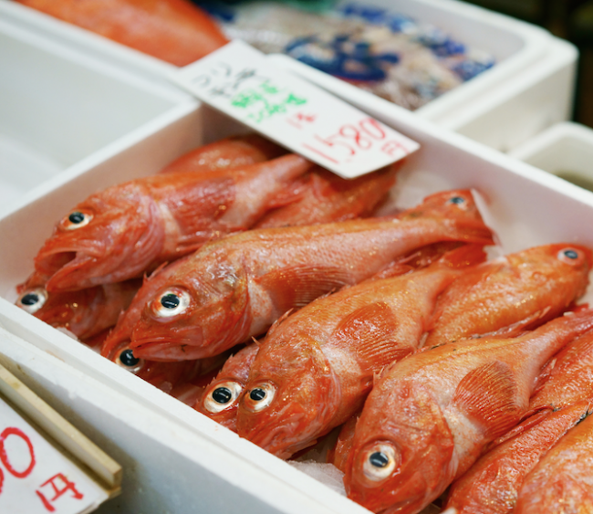 fish-market